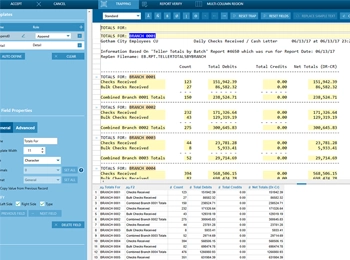 Demonstrating Monarch’s PDF trapping capabilities, enabling users to convert unstructured PDF data into structured tables for seamless analysis.